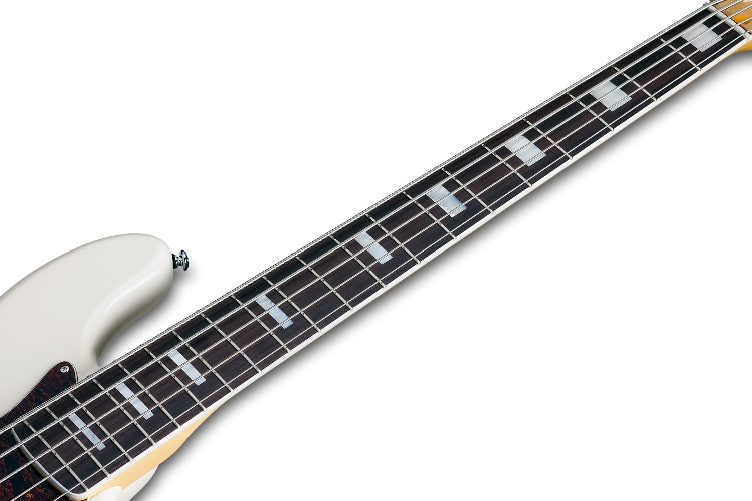 Schecter diamond j plus new arrivals